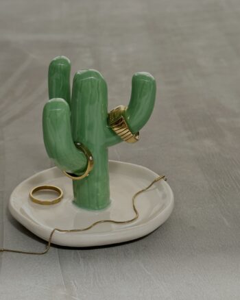 Anillero cactus con plato